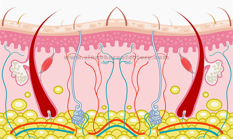 H1ccda05bab53484b8a7fee12315ac3459.jpg H1ccda05bab53484b8a7fee12315ac3459.jpg